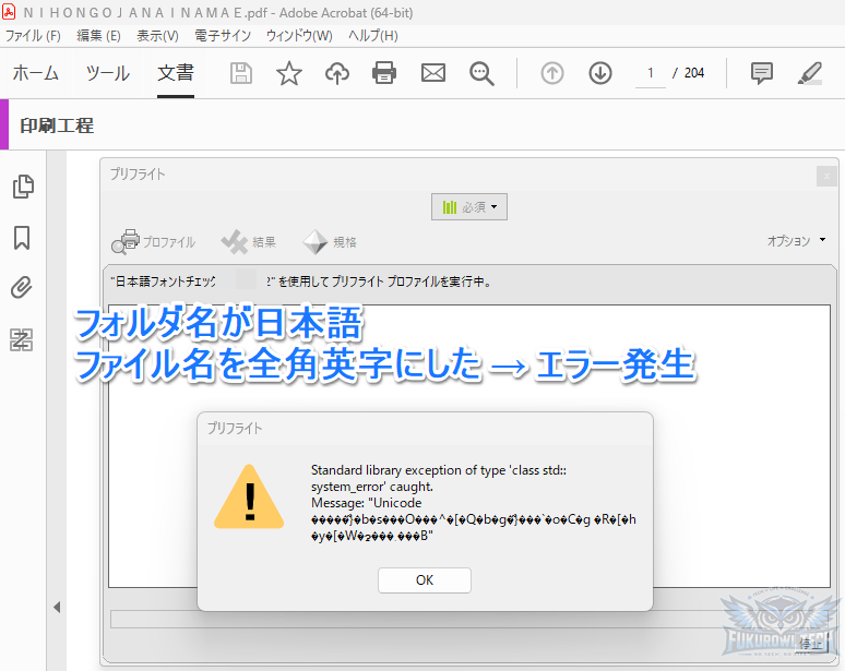 【画像：acrobat_preflight-15.png｜全角英数字のファイル名でエラー】